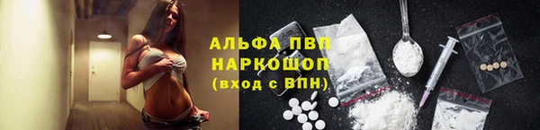 круглые Карпинск