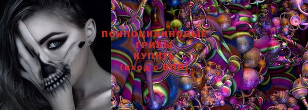 круглые Карпинск