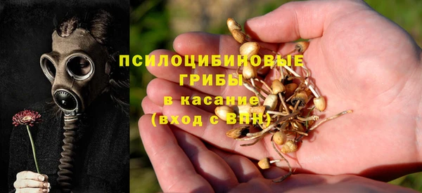 гашиш Касимов
