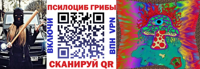 OMG сайт  Ядрин  Галлюциногенные грибы мицелий 